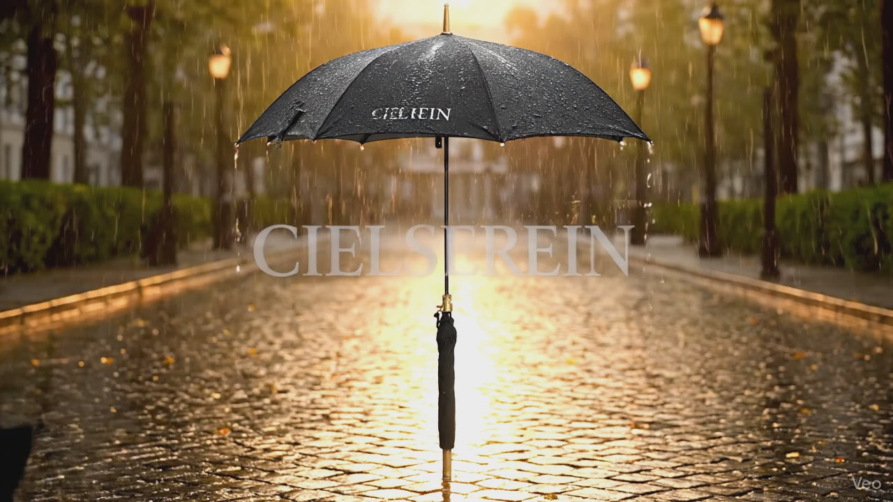 Charger la vidéo : 